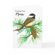 Saludos desde Maine Black Capped Chickadee