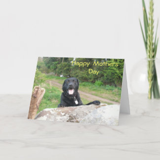 Tarjeta Saludos Días de la Madre