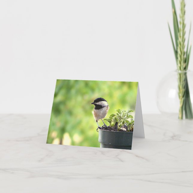 Tarjeta Saludos emplumados (Anverso)