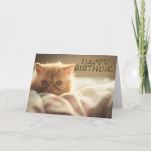 Tarjeta Saludos gatitos blandos