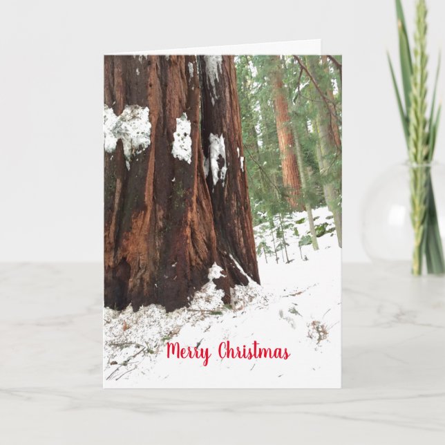 Tarjeta Saludos navideños Sequoia Merry (Anverso)