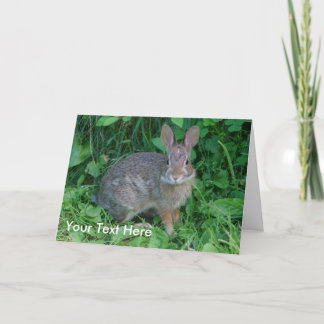 Tarjeta salvaje de la foto de la naturaleza animal
