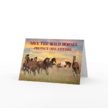 Salvar a los Caballos Salvajes