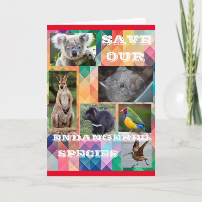 Tarjeta Salvar nuestras especies en peligro (Anverso)