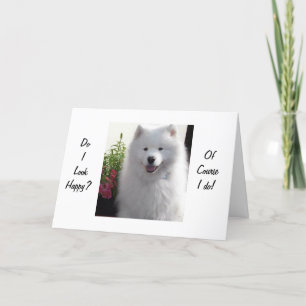 TARJETA SAMOYED DICE FELIZ QUE TIENES "21"