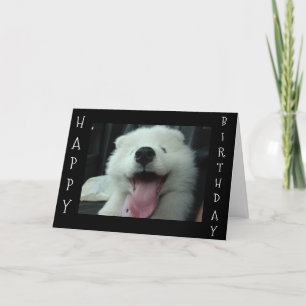 TARJETA SAMOYED DICE QUE ME SALVO EL PASO/TE AMO EL DESEO