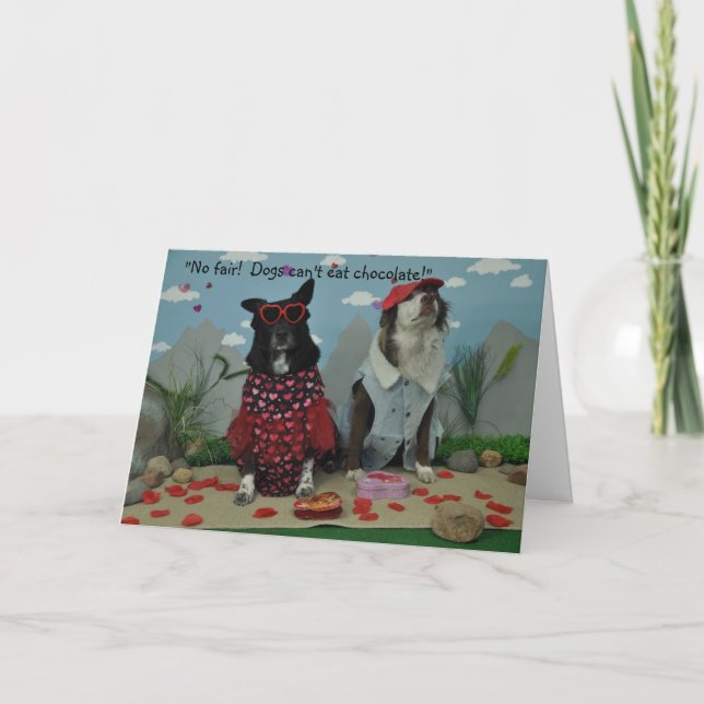 Tarjeta San Valentín para cualquiera, perros con ropa tont (Anverso)