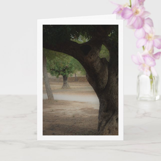 Tarjeta San Vicente Park Lliria, Valencia (Orquídea)