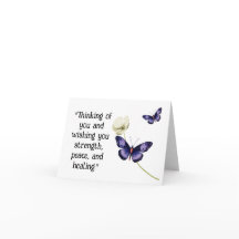 Sanación de Mariposa