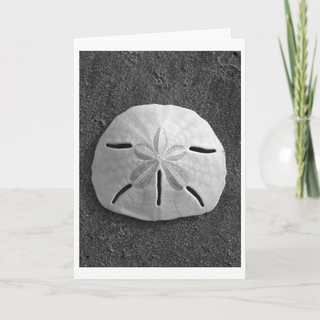 Tarjeta Sand Dollar (blanco y negro) (Anverso)