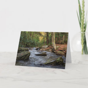 Tarjeta Sand Spring Run, Hickory Run State Park