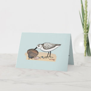Tarjeta Sanderling Sandpipers