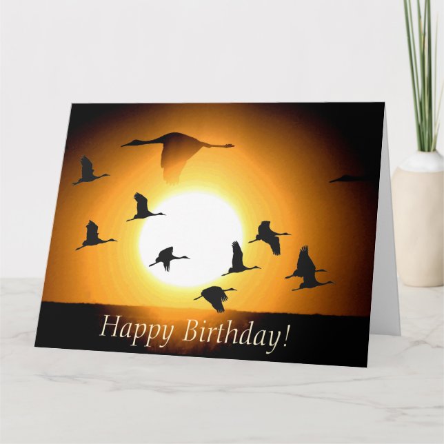 Tarjeta Sandhill Crane Birds Wildlife Animals Birthday (Anverso)