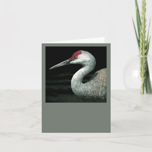 Tarjeta Sandhill Crane - Grassland Grace (Anverso)