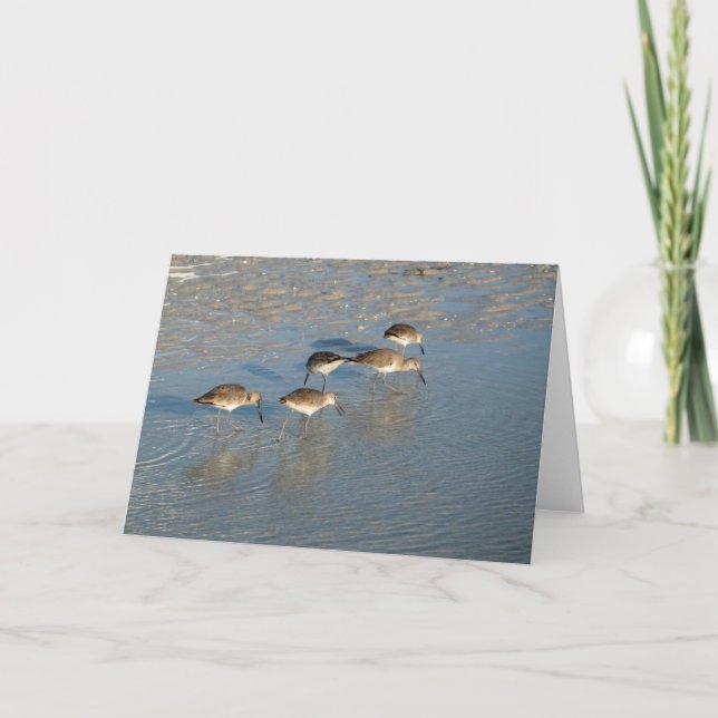 Tarjeta Sandpipers notecard (Anverso)