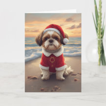 Sandy Paws y alegría navideña – Pequeño Santa de l
