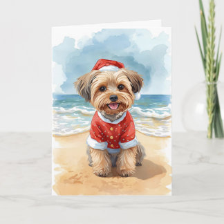 Tarjeta Sandy Paws y Shih Tzu Claus - Un Navidad de playa