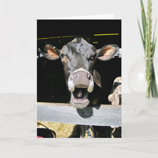 Tarjeta Santa Bola (Anverso)