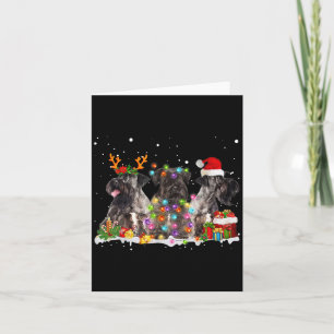 Tarjeta Santa Cesky Terrier Perro Precioso Reno Navidad