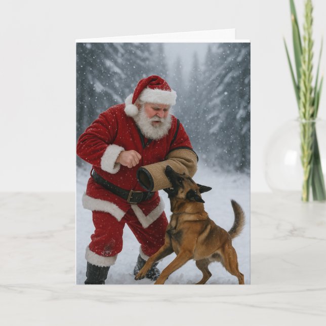 Tarjeta Santa decoy Belgian Malinois Christmas card (Anverso)