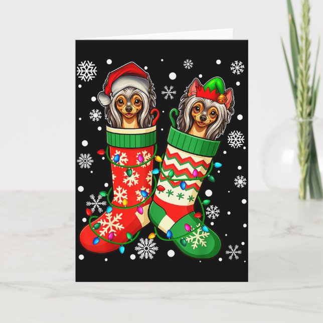 Tarjeta Santa Elf Chinese Crested Dog In Christmas Socks M (Anverso)