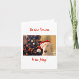 Tarjeta Santa Hat Bull Terrier, Es la temporada 