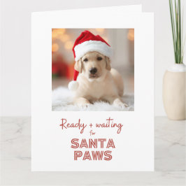 Tarjeta Santa Paws listos y esperando - Navidades amantes 