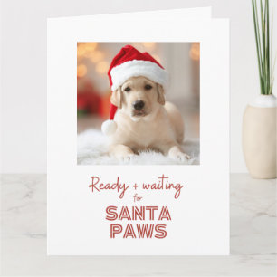 Tarjeta Santa Paws listos y esperando - Navidades amantes 