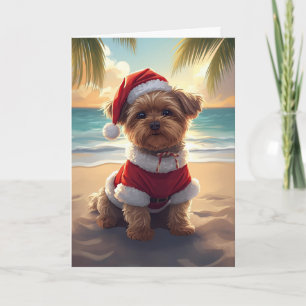 Tarjeta Santa Paws toma la playa - Navidades Shih Tzu