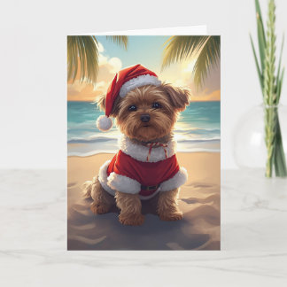 Tarjeta Santa Paws toma la playa - Navidades Shih Tzu