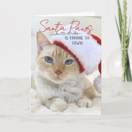 Tarjeta Santa Paws Viene A Los Navidades De La Ciudad