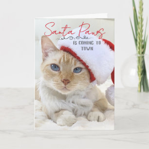 Tarjeta Santa Paws Viene A Los Navidades De La Ciudad