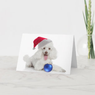 Tarjeta Santa Poodle