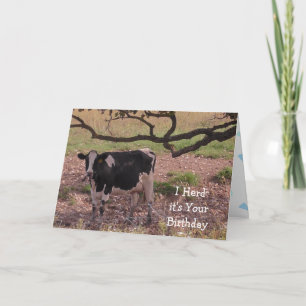 Tarjeta Santo Vaca, estás envejeciendo, cumpleaños