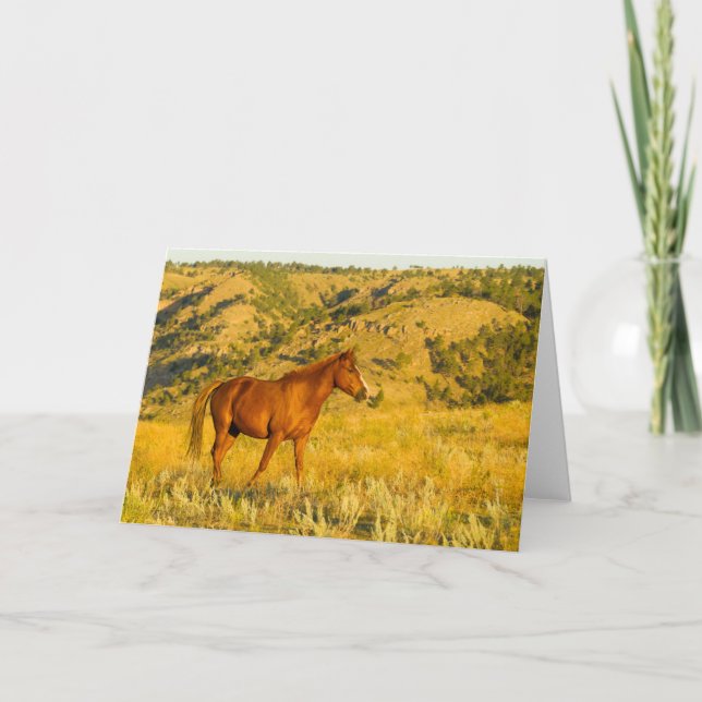 Tarjeta Santuario de Caballos Salvajes. (Anverso)