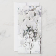 Saplings de pinos cubiertos de nieve (por Pekka Ha