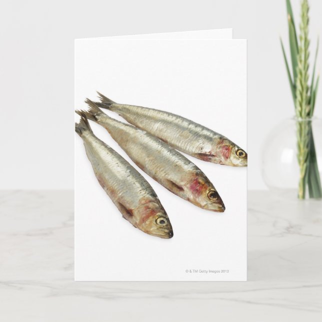 Tarjeta Sardinas (Pilares) (Anverso)
