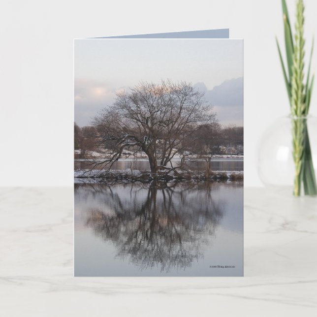 Tarjeta Sauce como árbol del mundo (Anverso)