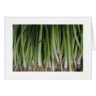 Tarjeta Scallions