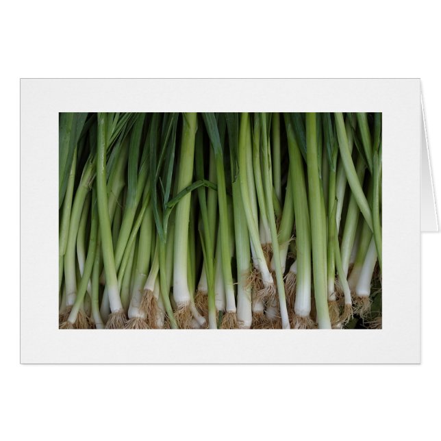 Tarjeta Scallions (Anverso (Horizontal))