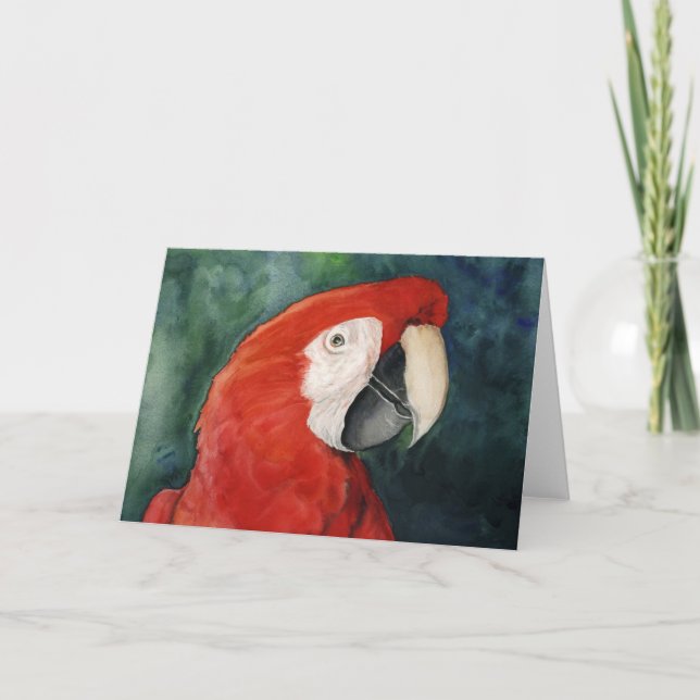 Tarjeta "Scarlet Macaw" Original Art Notecard (Anverso)