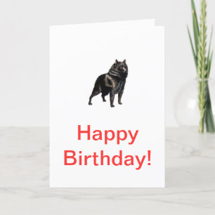 Tarjeta Schipperke