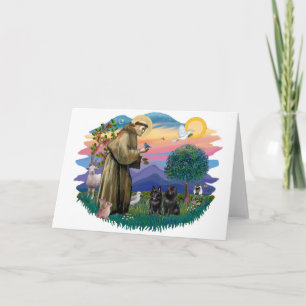 Tarjeta Schipperke (dos)