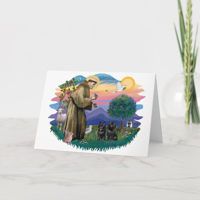 Tarjeta Schipperke (dos) (Anverso)