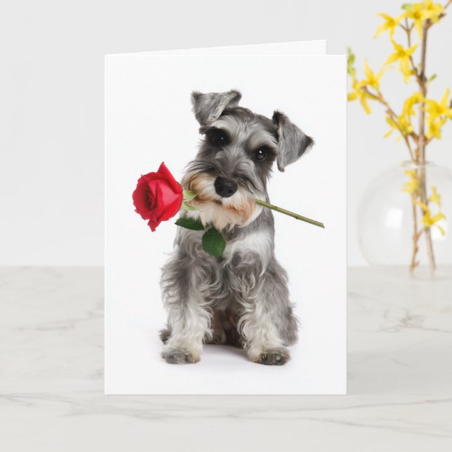 Tarjeta Schnauzer de San Valentín – Amor fiel con un rosa (flor amarilla)