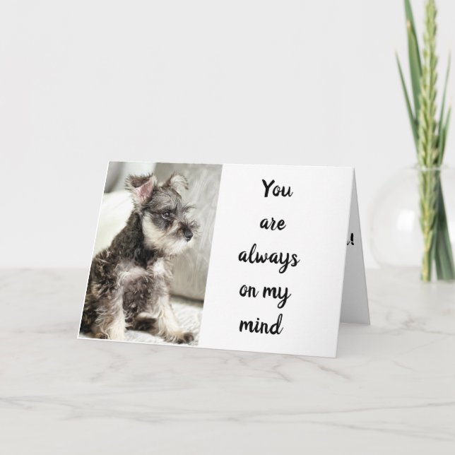 TARJETA SCHNAUZER *DECLARA AMOR** SOBRE EL "DESEO DE LA VA (Anverso)