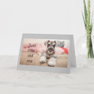 TARJETA "SCHNAUZER DICE FELIZ CUMPLEAÑOS"