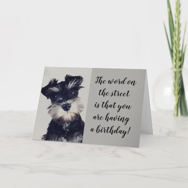 TARJETA SCHNAUZER NO PUEDE CREER LA NOTICIA **50?** (Anverso)