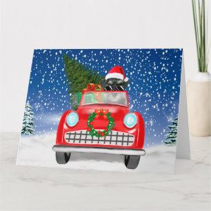 Tarjeta Schnauzer Perro Conduciendo Coche En Navidad Nieve