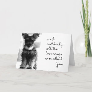 TARJETA SCHNAUZER PRESENTA UN CASO PARA UN "DESEO DE SAN V
